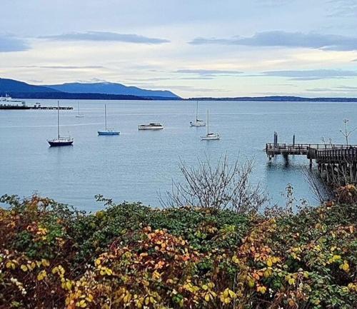 a group of boats in the water near a dock at Bellingham-Lake Samish Getaway in Bellingham