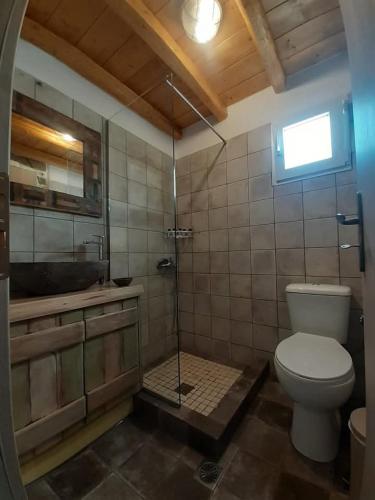 a bathroom with a toilet and a glass shower at Kavourocheri beach house in Kithnos