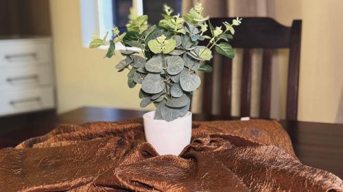 a plant in a white vase on a table at Border Close Guesthouse in Upington