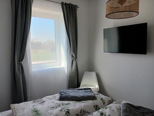 una camera da letto con un letto, una finestra e una televisione di Apartments Mexico Puszta - Nähe Neusiedlersee - Seewinkel a Fertőújlak