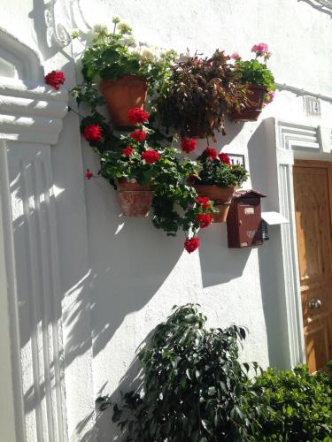 Κήπος έξω από το Boutique Hostal "Casa Justa"