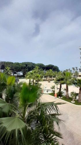 a view of a park with palm trees and a beach at Vigga Apartment in Golem