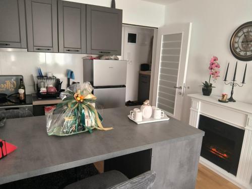 cocina con encimera y chimenea en Apartman KUM, en Vrnjačka Banja