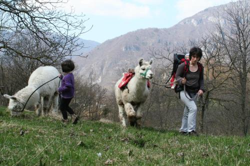 kobieta i dziecko i dwa zwierzęta na wzgórzu w obiekcie Il Capriolo Felice - Agriturismo w mieście Lastebasse
