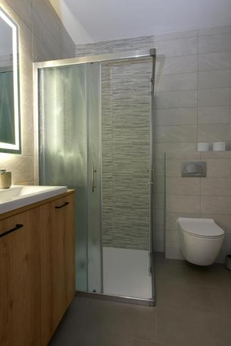 a bathroom with a shower and a toilet and a sink at Apartmaji Siliganum in Solkan