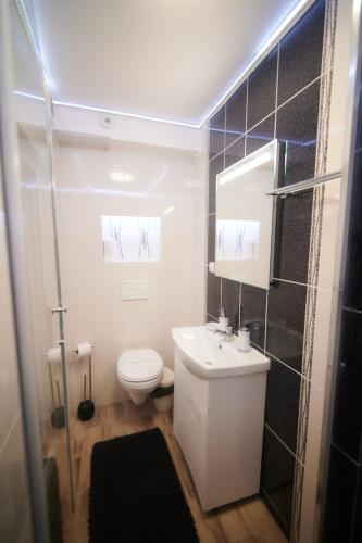 a bathroom with a toilet and a sink and a shower at Poiana Bucovat in Gura Humorului