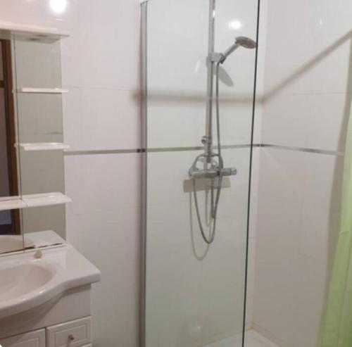 une douche avec une porte vitrée à côté d'un lavabo dans l'établissement Appartement Caprunale Rivière & Maquis, à Manso