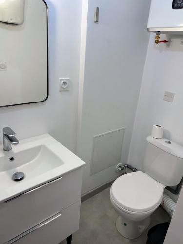 une salle de bain blanche avec des toilettes et un lavabo dans l'établissement Le Coloré- T2 confortable avec vue sur Nérac, à Nérac