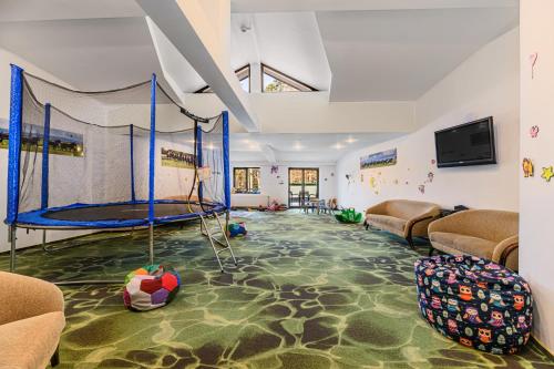 Μια τηλεόραση ή/και κέντρο ψυχαγωγίας στο Hotel Casa Viorel jacuzzi & saunas