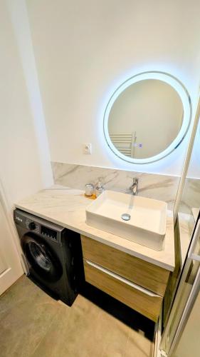 une salle de bain avec un lavabo et un miroir dans l'établissement L'haussmannien 1er Étage, à Abbeville