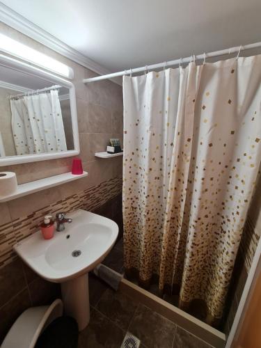 a bathroom with a sink and a shower curtain at Apollo Pavilion Apartments in Mirina