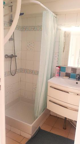 une salle de bain avec douche et lavabo dans l'établissement Logement indépendant, proche gare, à Aubergenville