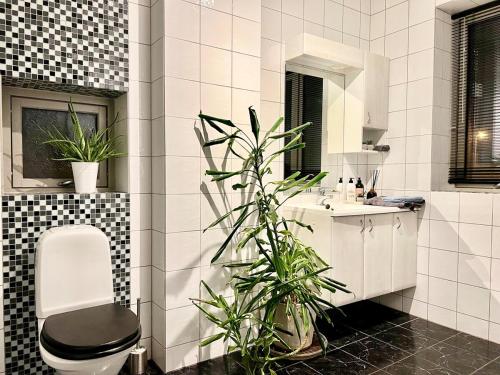 a bathroom with a toilet and a plant in it at Panorama Storelva in Tromsø