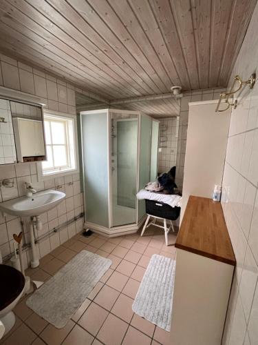 a bathroom with a sink and a shower and a toilet at Bagarestigen bargel punkt s e in Lysekil