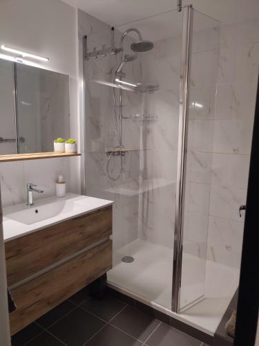 une salle de bain avec douche et lavabo dans l'établissement Sur les pas de Pierre Paul Riquet, à Montferrand