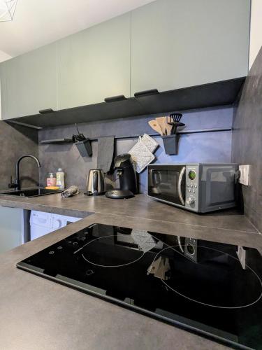 une cuisine avec un comptoir avec un micro-ondes dans l'établissement Studio hypercentre de Roanne - 10 train station, à Roanne