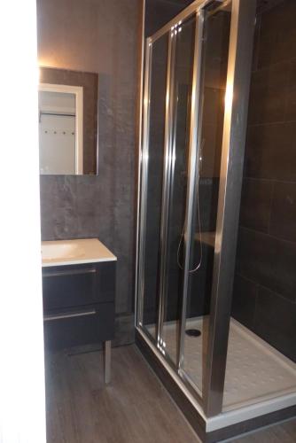 une salle de bain avec douche et lavabo dans l'établissement Bel appartement proche de la plage, à Perros-Guirec