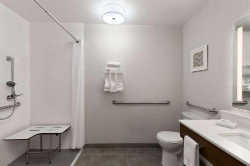 Hampton Inn & Suites Dothanにあるバスルーム