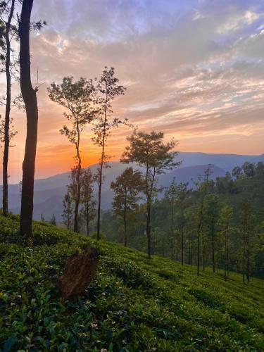 a sunset on a hill with trees in a field at Crystal Villa Knuckles in Kandy