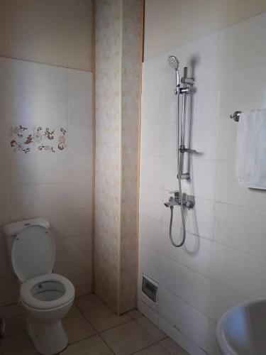 a bathroom with a shower with a toilet and a sink at Black Diamond Appartements in Kribi