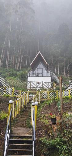 Landskap semula jadi dekat dengan rumah tamu ini