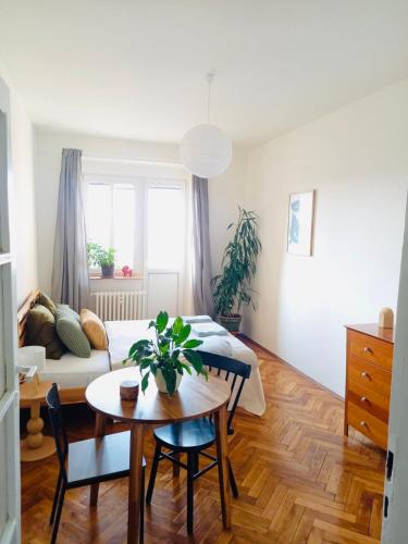Hezký apartman s balkonem