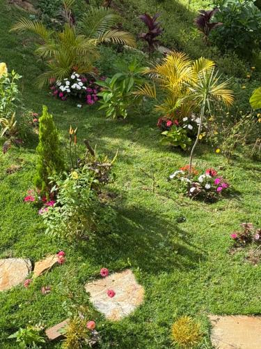 Taman di luar Suíte Horto