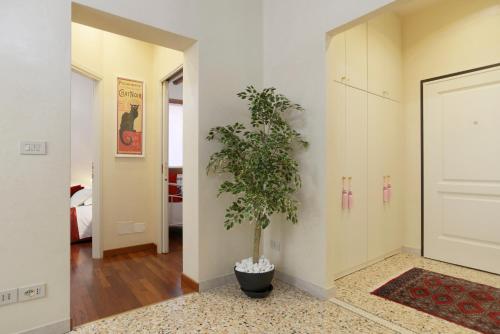 a hallway with a plant in a pot next to a door at Domus Dea in Venice