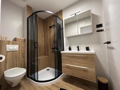 a bathroom with a shower and a toilet and a sink at Apartments Karla in Stanići