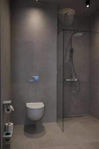 a bathroom with a toilet and a glass shower at Taunus Suites in Oberursel