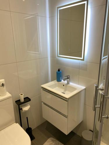 Un baño de The Fortress