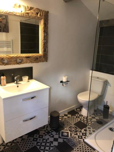 une salle de bain avec un lavabo, des toilettes et un miroir dans l'établissement Ales maison de ville tout confort piscine jardin parking 6 personnes, à Alès