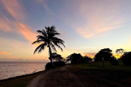 a palm tree on a dirt road next to the ocean at Villa Banana Chill in Sainte-Luce