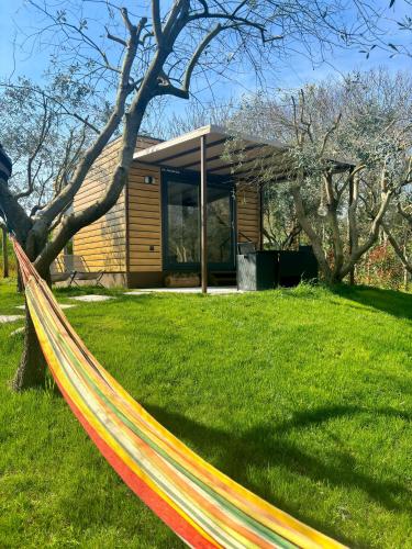 a hammock in a yard in front of a house at Seregnér Agricamping & Homes - Adults Only 18 in Monzambano
