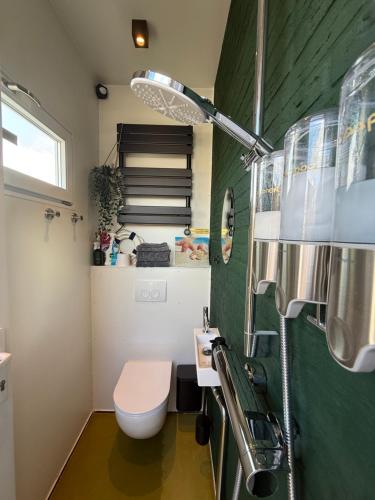 a bathroom with a toilet and a green wall at Hart van Petten in Petten
