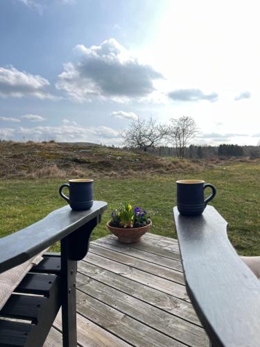 two benches sitting on a wooden table with two cups at Vinberga in Enhörna