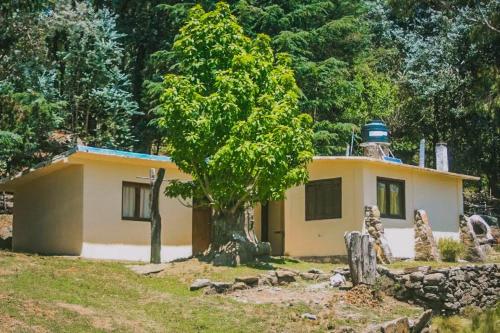 Κήπος έξω από το Hostel La Resolana