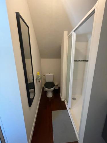 La salle de bains est pourvue de toilettes et d'une douche à l'italienne. dans l'établissement Duplex casa verde, à Angers