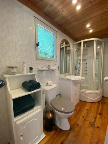 une salle de bain blanche avec des toilettes et un lavabo dans l'établissement Stunning Provençal Estate, à Callian