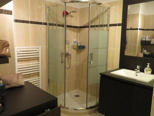 une salle de bain avec douche et lavabo dans l'établissement Sète : Appt 2 Pièces, Climatisé, Résidence avec Piscine - FR-1-472-210, à Sète