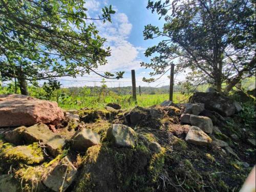 a pile of rocks in a field with trees at Hide and Sheep Shepherds Hut in Bradnop