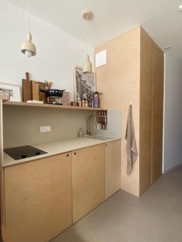 Appartement Chamonix