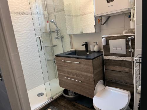 une salle de bain avec une douche, des toilettes et un lavabo dans l'établissement Appartement cosy proche plage, à Cabourg