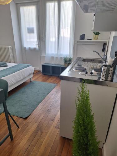 eine Küche mit Spüle und Herd im Zimmer in der Unterkunft L'Appel De La Forêt - Wifi Fibre, Linge & Parking in Châteaubriant