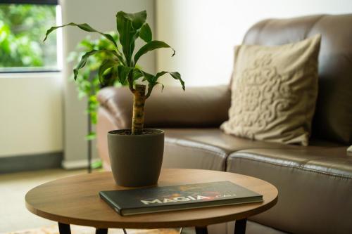 Fotografie z fotogalerie ubytování Norte Cali - Bosque Living - 101 v destinaci Cali