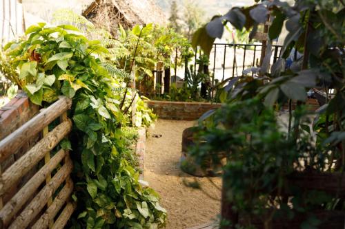 Zahrada ubytování Sapa Plum Eco House