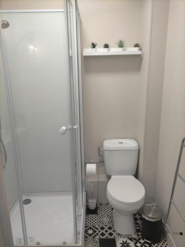 une petite salle de bain avec toilettes et douche dans l'établissement S Bourgeois 2 Charmant T3 tout équipé au centre, à Sedan