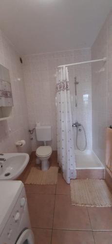 a bathroom with a toilet and a sink and a shower at Apartmani Presečki in Pag