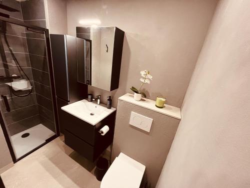 une salle de bain avec toilettes, lavabo et douche dans l'établissement Noble Escale, Plage et Parking, à La Grande Motte