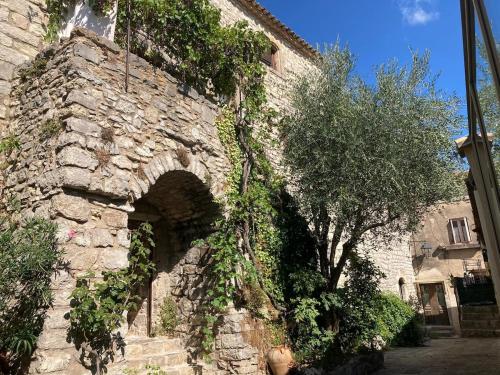 Charming house and studio